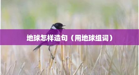 地球怎样造句（用地球组词）