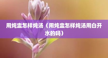 用炖盅怎样炖汤（用炖盅怎样炖汤用白开水的吗）