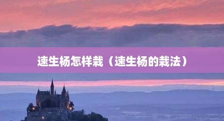 速生杨怎样栽（速生杨的栽法）