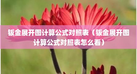 钣金展开图计算公式对照表（钣金展开图计算公式对照表怎么看）