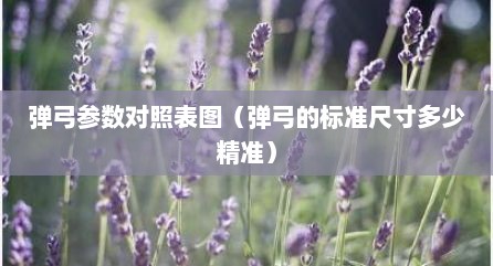 弹弓参数对照表图（弹弓的标准尺寸多少精准）