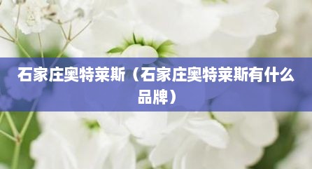 石家庄奥特莱斯（石家庄奥特莱斯有什么品牌）