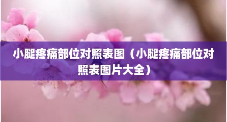 小腿疼痛部位对照表图（小腿疼痛部位对照表图片大全）