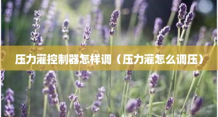 压力灌控制器怎样调（压力灌怎么调压）