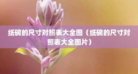 纸碗的尺寸对照表大全图（纸碗的尺寸对照表大全图片）