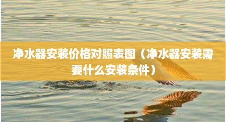 净水器安装价格对照表图（净水器安装需要什么安装条件）