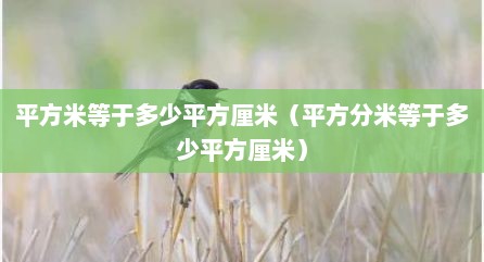 平方米等于多少平方厘米（平方分米等于多少平方厘米）