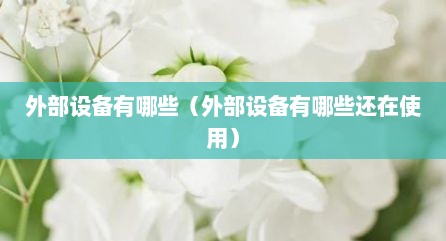 外部设备有哪些（外部设备有哪些还在使用）
