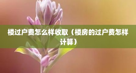 楼过户费怎么样收取（楼房的过户费怎样计算）