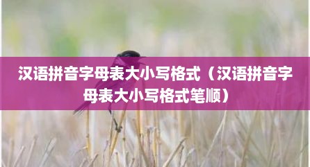 汉语拼音字母表大小写格式（汉语拼音字母表大小写格式笔顺）