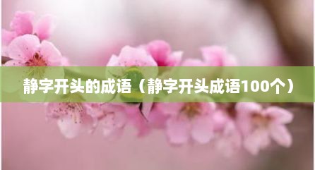 静字开头的成语（静字开头成语100个）