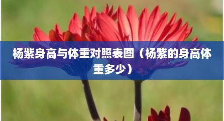 杨紫身高与体重对照表图（杨紫的身高体重多少）
