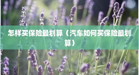 怎样买保险最划算（汽车如何买保险最划算）