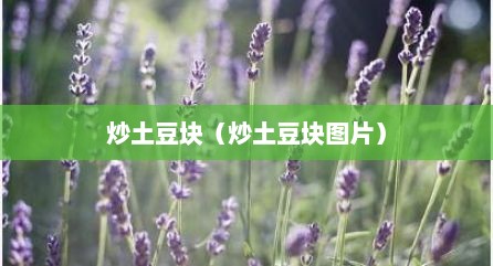 炒土豆块（炒土豆块图片）