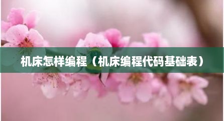 机床怎样编程（机床编程代码基础表）