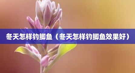 冬天怎样钓鲫鱼（冬天怎样钓鲫鱼效果好）