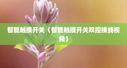 智能触摸开关（智能触摸开关双控接线视频）
