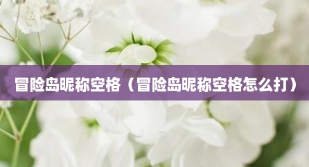 冒险岛昵称空格（冒险岛昵称空格怎么打）