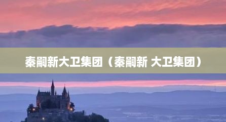 秦嗣新大卫集团（秦嗣新 大卫集团）