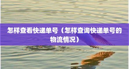 怎样查看快递单号（怎样查询快递单号的物流情况）