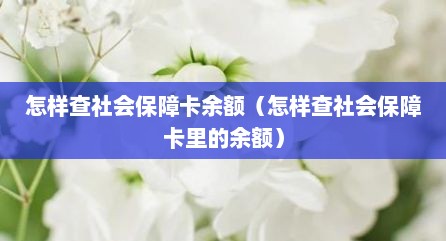 怎样查社会保障卡余额（怎样查社会保障卡里的余额）