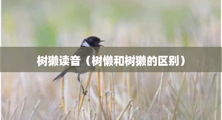 树獭读音（树懒和树獭的区别）