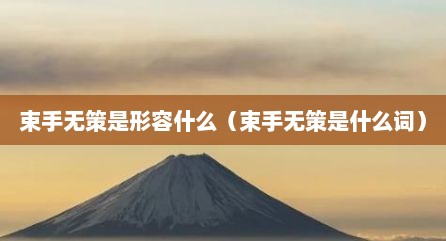 束手无策是形容什么（束手无策是什么词）