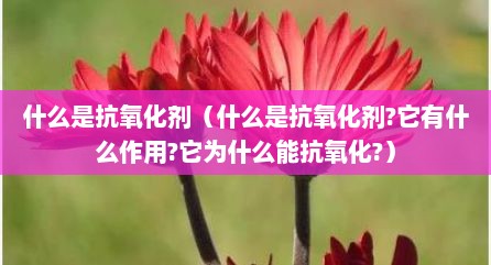什么是抗氧化剂（什么是抗氧化剂?它有什么作用?它为什么能抗氧化?）