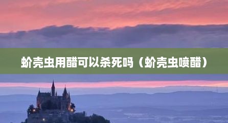 蚧壳虫用醋可以杀死吗（蚧壳虫喷醋）