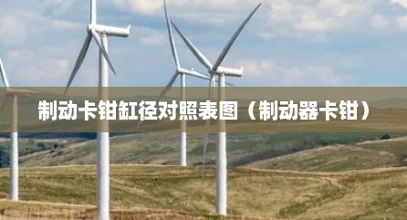 制动卡钳缸径对照表图（制动器卡钳）