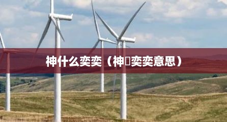 神什么奕奕（神釆奕奕意思）