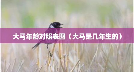 大马年龄对照表图（大马是几年生的）