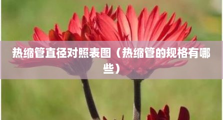 热缩管直径对照表图（热缩管的规格有哪些）