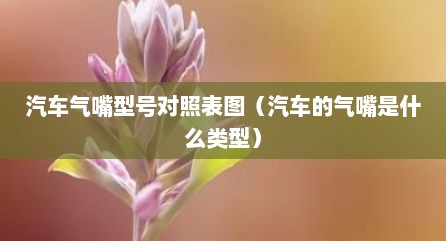 汽车气嘴型号对照表图（汽车的气嘴是什么类型）