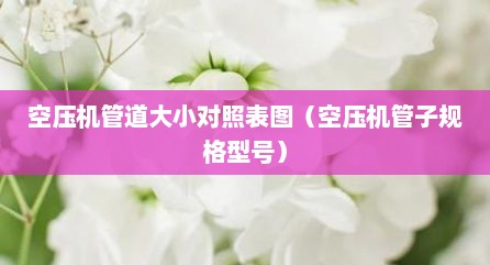 空压机管道大小对照表图（空压机管子规格型号）