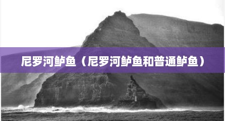 尼罗河鲈鱼（尼罗河鲈鱼和普通鲈鱼）