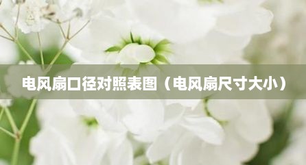 电风扇口径对照表图（电风扇尺寸大小）