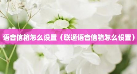 语音信箱怎么设置（联通语音信箱怎么设置）