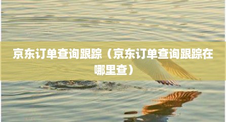 京东订单查询跟踪（京东订单查询跟踪在哪里查）