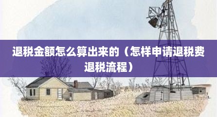 退税金额怎么算出来的（怎样申请退税费退税流程）
