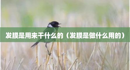 发膜是用来干什么的（发膜是做什么用的）