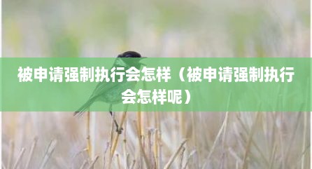 被申请强制执行会怎样（被申请强制执行会怎样呢）
