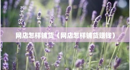 网店怎样铺货（网店怎样铺货赚钱）