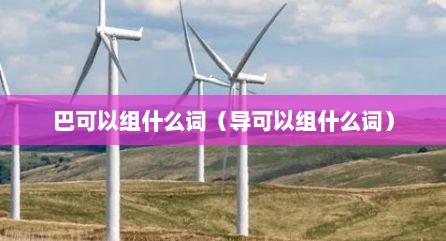 巴可以组什么词（导可以组什么词）