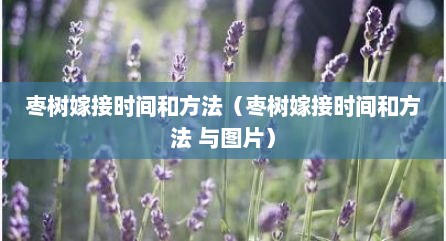 枣树嫁接时间和方法（枣树嫁接时间和方法 与图片）
