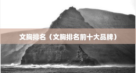 文胸排名（文胸排名前十大品牌）
