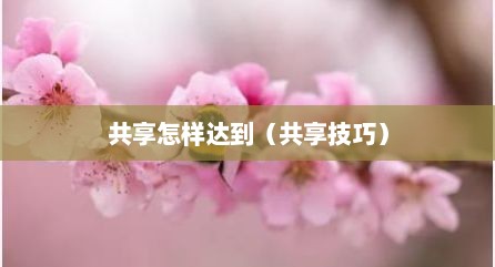 共享怎样达到（共享技巧）