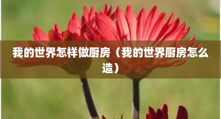 我的世界怎样做厨房（我的世界厨房怎么造）