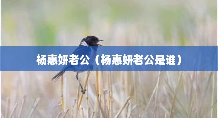 杨惠妍老公（杨惠妍老公是谁）
