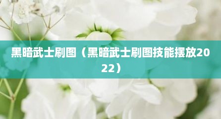 黑暗武士刷图（黑暗武士刷图技能摆放2022）